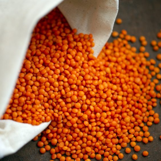 lentils-food-beans-7772450 lentils, food, beans-7772450.jpg
